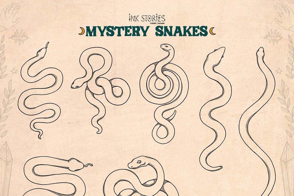 Mystery Snakes, an Animal Illustration by Ink Stories (Photo 11 of 31)