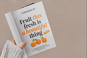 The Reading Display, a Serif Font by Mulkan Nazir (Thumbnail 14 of 14)