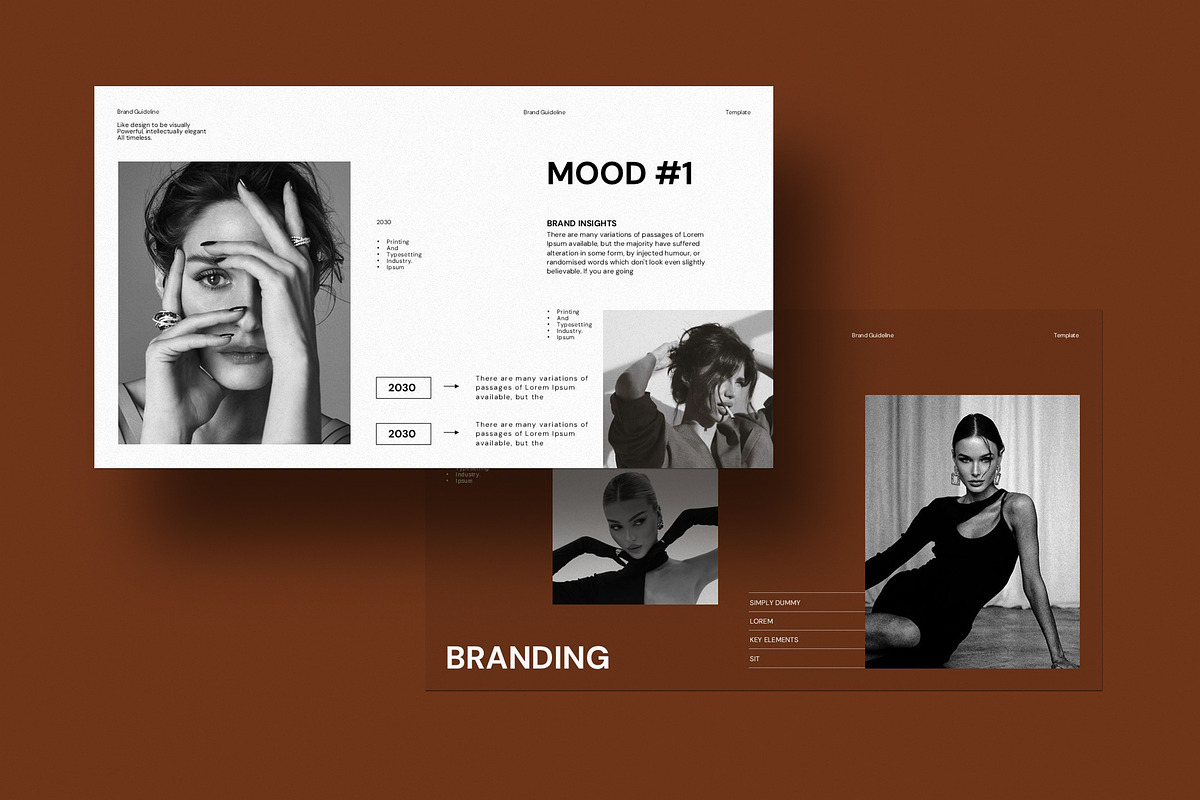 Brand Portfolio Presentation preview 7