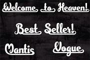 Hafizah Script, a Script Font by Royaltype (Thumbnail 7 of 13)