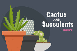 Vector illustration cactus 