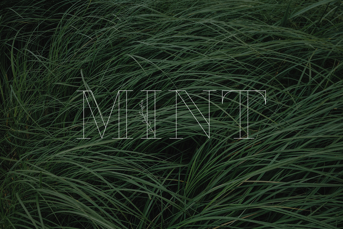 April Font, a Serif Font by Alice_Evans (Photo 10 of 11)