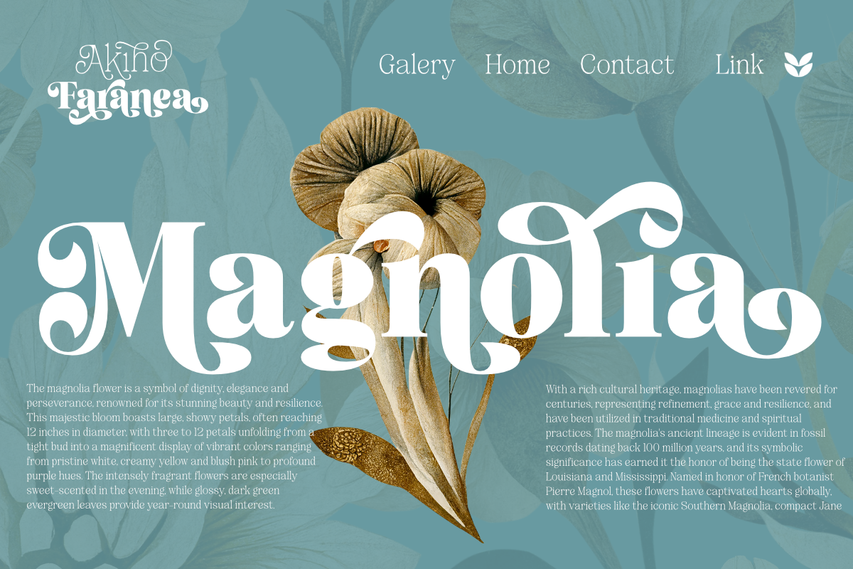 Akiho Faranea - Serif Display Family, a Serif Font by Differentialtype (Photo 7 of 11)