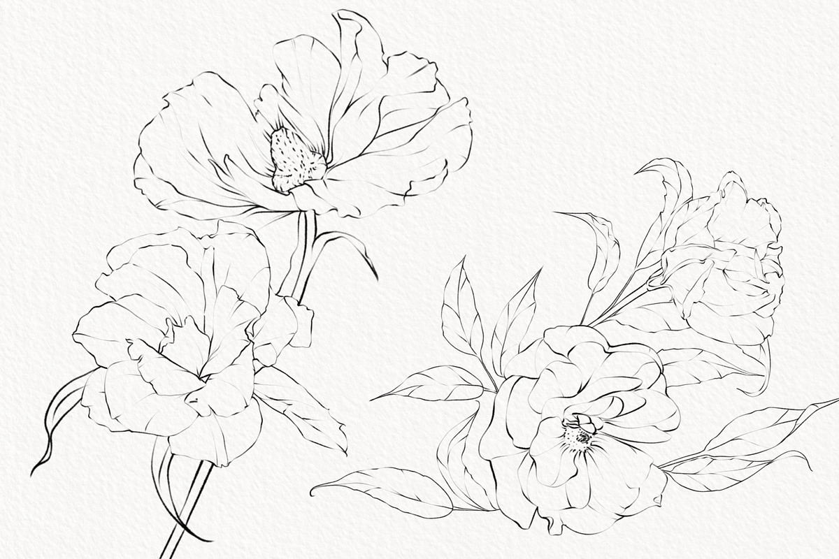 Procreate flower stamp, anemones, a Brush Add-On by AnnaPolitmerskaja (Photo 2 of 6)