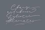 Sieralova - A Beauty Handwritten, a Script Font by Walkeren (Thumbnail 3 of 16)