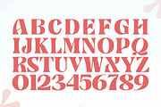 Banner, a Serif Font by Gatype (Thumbnail 9 of 11)