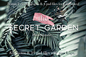 Photo bundle+bonus