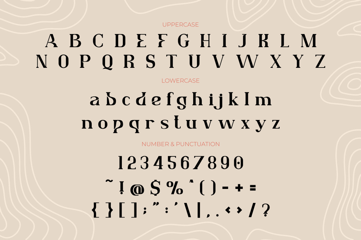 Lafonsa - Stylistic Serif Font, a Sans Serif Font by PutraCetol Studio (Photo 10 of 13)
