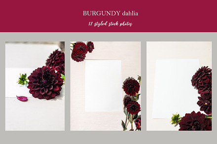 Burgundy Dahlia styled photos, a Business Photo by LABFcreations