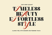 Aelica - Elegant Serif Font, a Serif Font by MaikoHatta (Thumbnail 4 of 10)