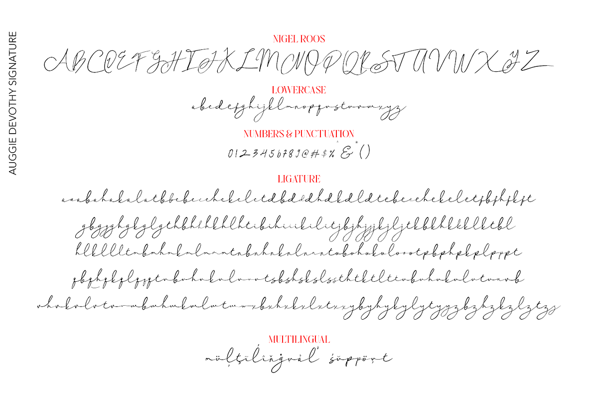 Auggie Devothy Signature, a Script Font by madeDeduk (Photo 10 of 15)