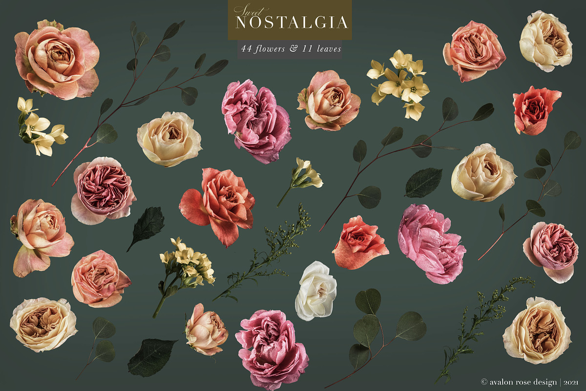 Nostalgia Rose Floral Clip Art, an Object Graphic by Eclectic Anthology (Photo 12 of 14)