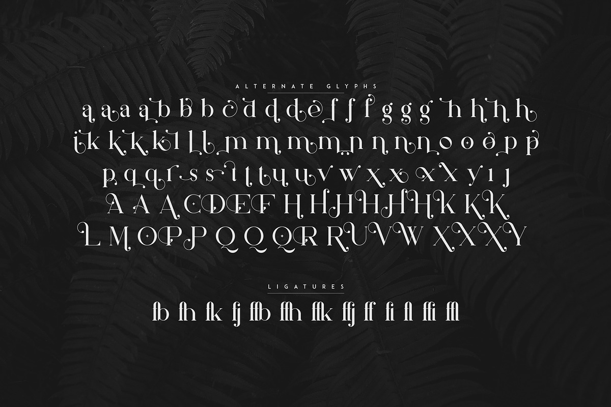 Silver Queen - Serif Typeface, a Serif Font by VP Fonts (Photo 11 of 12)