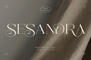 Sesandra Modern All Caps Serif, a Serif Font by Violet Natural (Thumbnail 1 of 9)