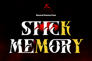Record Themes - Elegant Font, a Serif Font by 177Studio (Thumbnail 5 of 8)