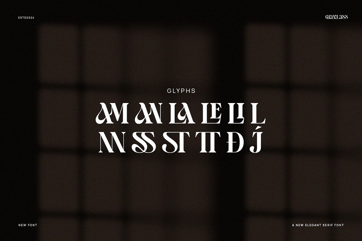 Giamlass - Unique Display Serif, a Serif Font by BrandSemut (Photo 15 of 16)