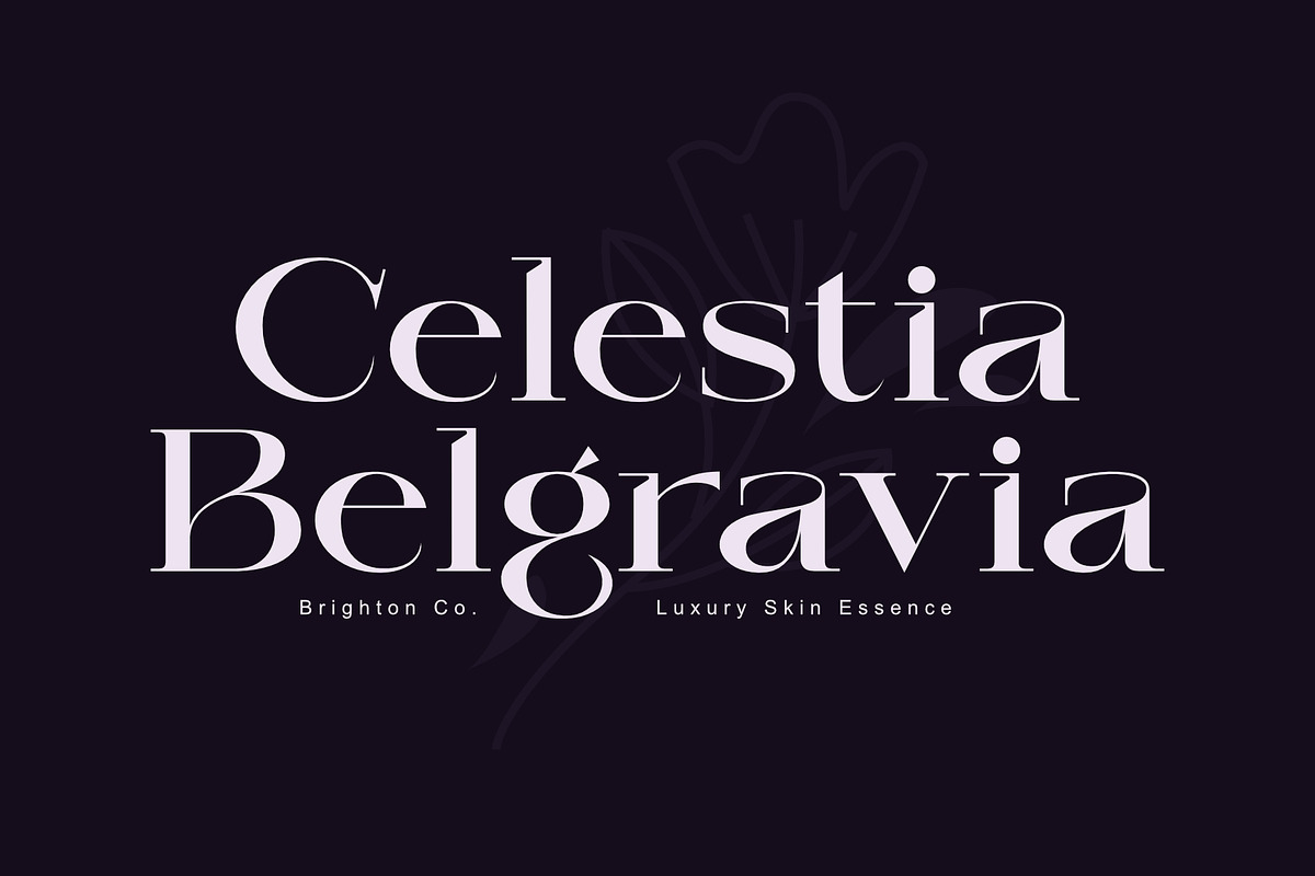Asmake - Modern Serif Font, a Serif Font by Sealoung (Photo 3 of 9)