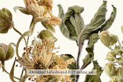 Airy Meadow – Dried Rose & Meadow Se, an Object Graphic by Aga Silva (Thumbnail 2 of 7)