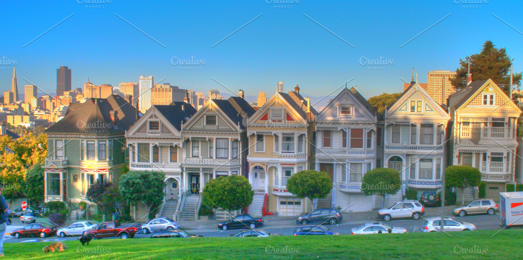 Painted Ladies
