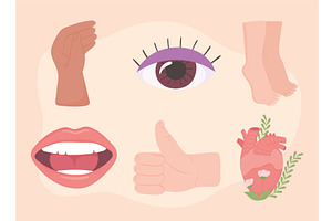 set human body parts, an Object Illustration by studiogstock