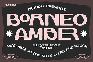 Borneo Amber - Modern Vintage Font