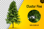 CUT OUT TREES - 60 PCS BUNDLE, a Packaging Mockup by 3DSTORE (Thumbnail 49 of 63)