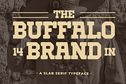Rust Smoke–Vintage Western SlabSerif, a Slab Serif Font by MaikoHatta (Thumbnail 6 of 8)