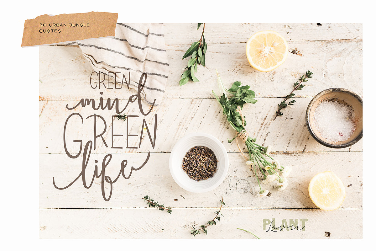 Seasonal Botany BUNDLE, an Object Graphic by Ruslana Lubenets (Photo 91 of 100)