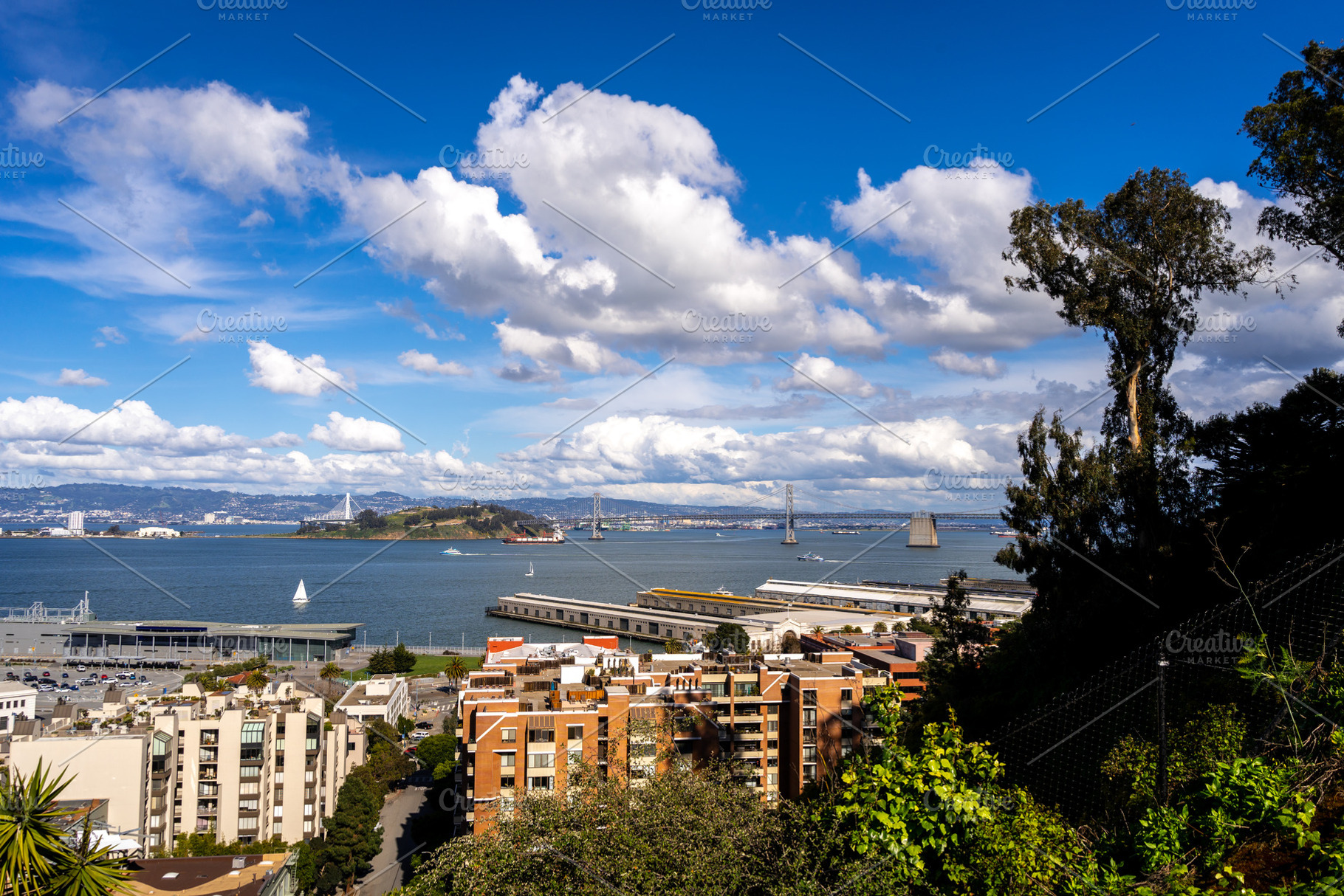 Panoramic view of San Francisco Bay and lush greenery, USA, an Architecture Photo by GoodGoods