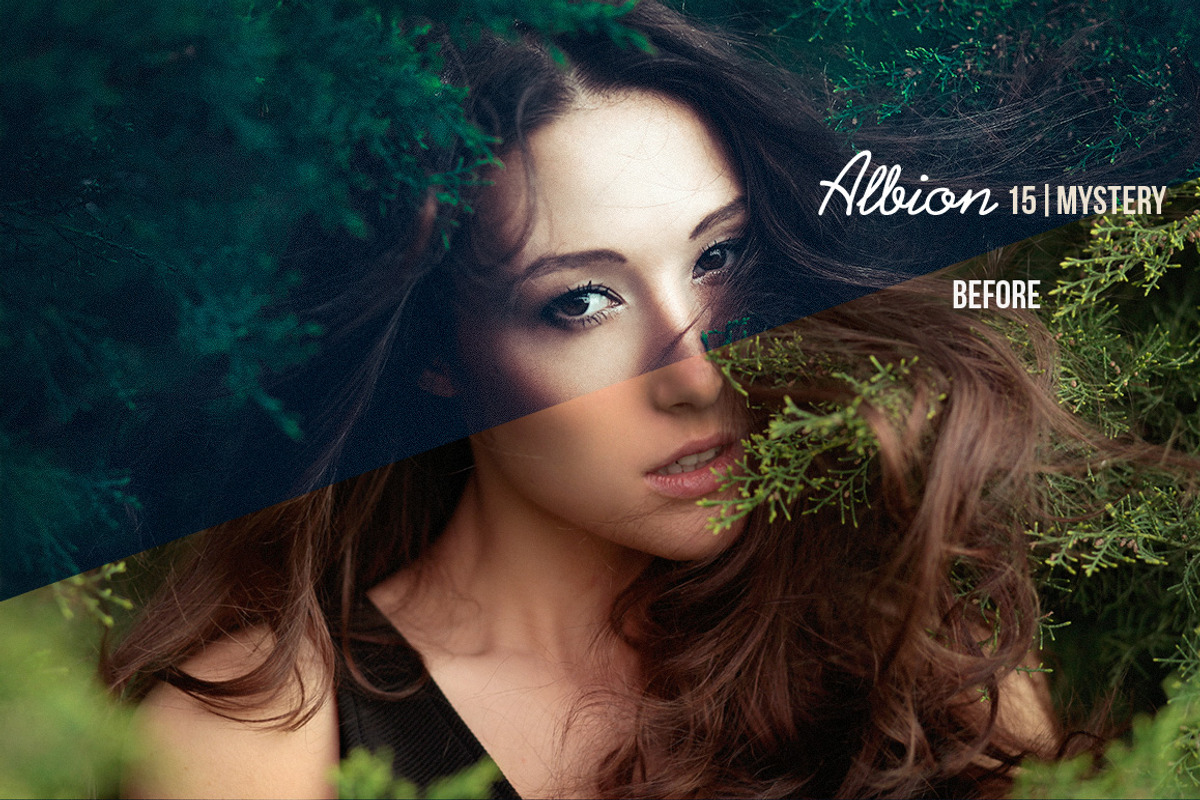 Sale Albion Dark Fantasy Preset Pack, an Action Add-On by Presetrain Co. (Photo 3 of 5)