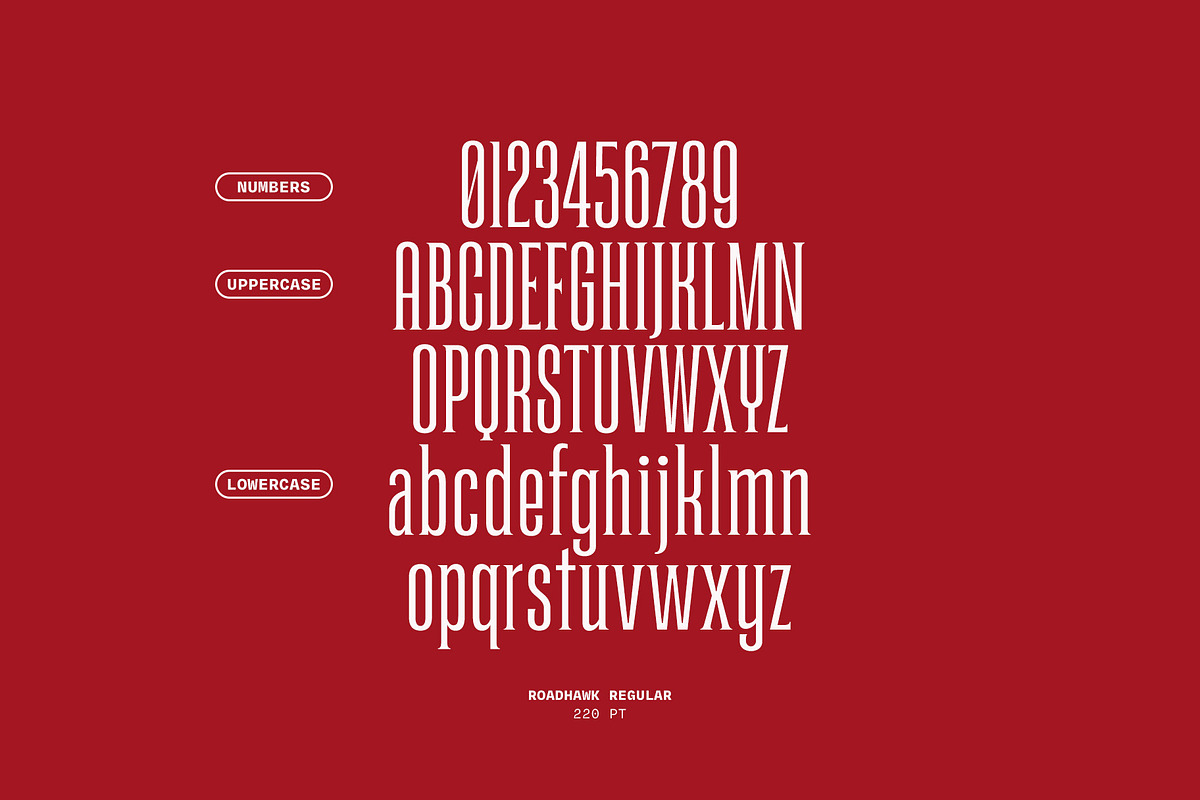 Roadhawk - Condensed Semi Serif, a Serif Font by Hindia Studio (Photo 10 of 11)