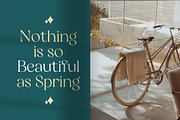 Restaglick - Elegant Ligatures, a Serif Font by Mokatype Studio (Thumbnail 5 of 12)