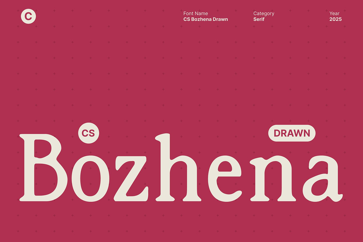 CS Bozhena Drawn, a Serif Font by Craft Supply Co. (Photo 1 of 8)