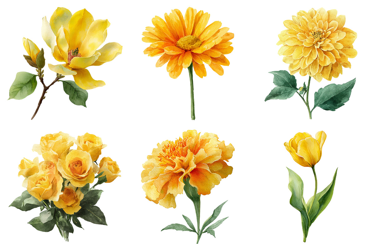 Watercolor Flower Clipart, an Illustration by Daily.Designs (Photo 5 of 5)