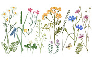 Meadow herbs and flowers, a Decorative Illustration by handsketched (Thumbnail 6 of 7)