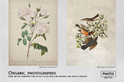 Aged Paper Effect Overlays, a Brushes & More by PhotoSpirit (Thumbnail 3 of 9)