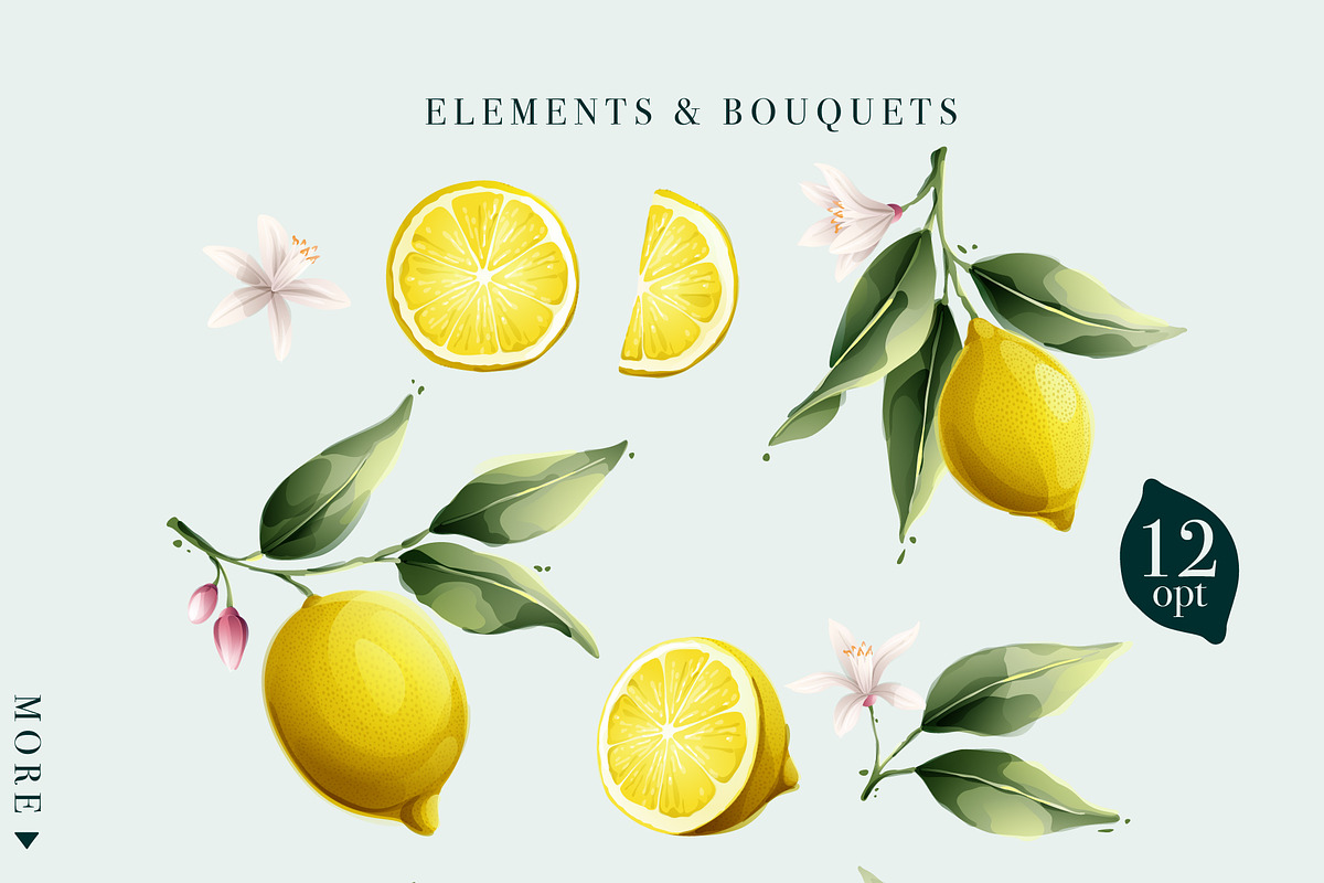 Watercolor vector lemons collection, a Healthcare Illustration by kaer_shop (Photo 2 of 8)