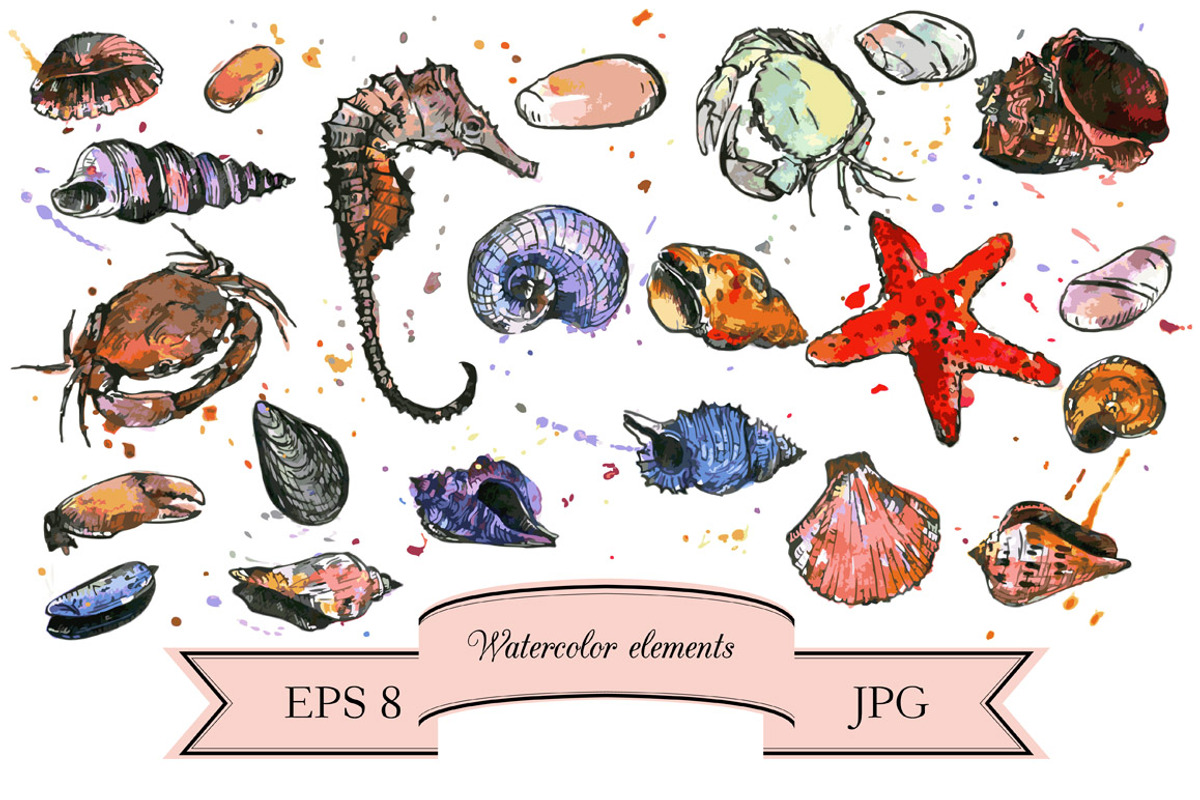 Seashells set preview 3
