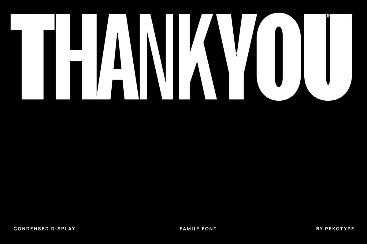 Raurus Condensed Display Family Font, a Sans Serif Font by Pekotype (Photo 15 of 15)