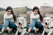 Suburbia Photoshop Actions preview 4