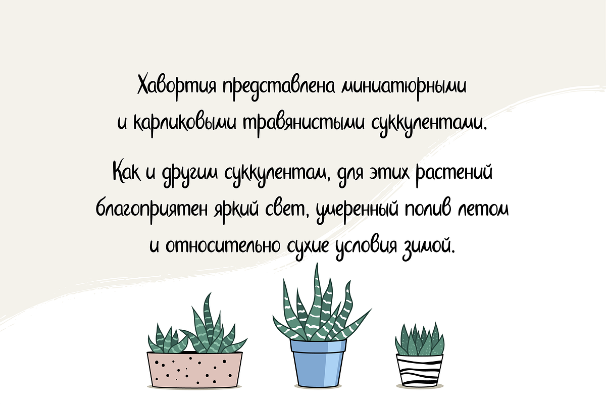 Haworthia. Multilingual Script Font., a Script Font by Cmeree (Photo 4 of 7)