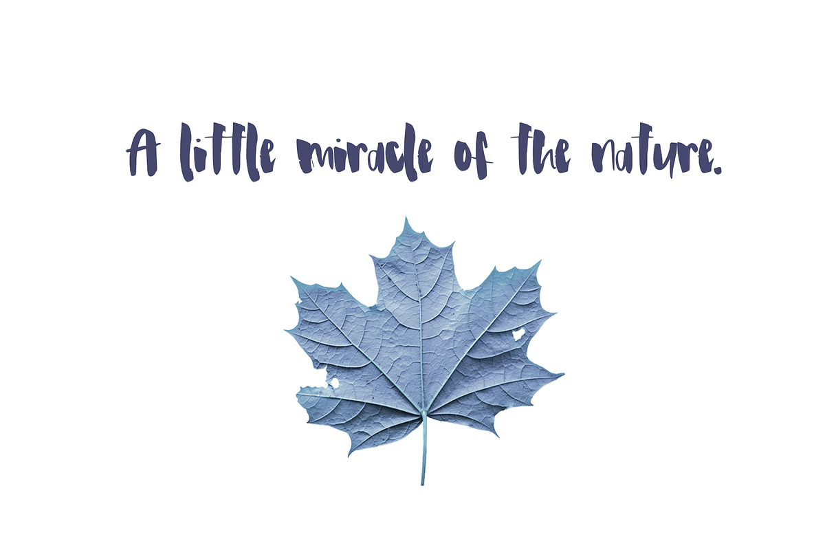 Haley Font preview 3