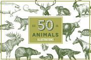 Animals Vector Vintage Illustrotions, an Animal Illustration by hypegraphic (Thumbnail 1 of 5)