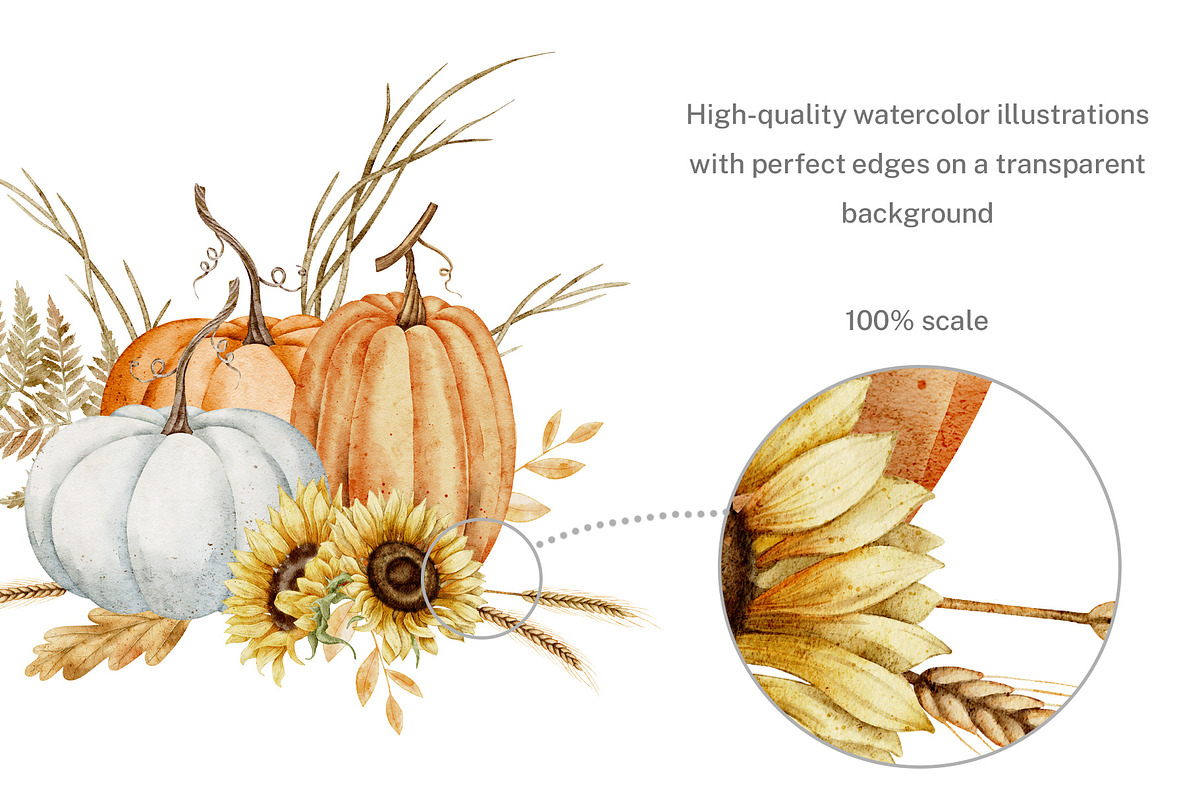 Autumn rustic watercolor - Fall set, an Illustration by Alisles (Photo 11 of 12)
