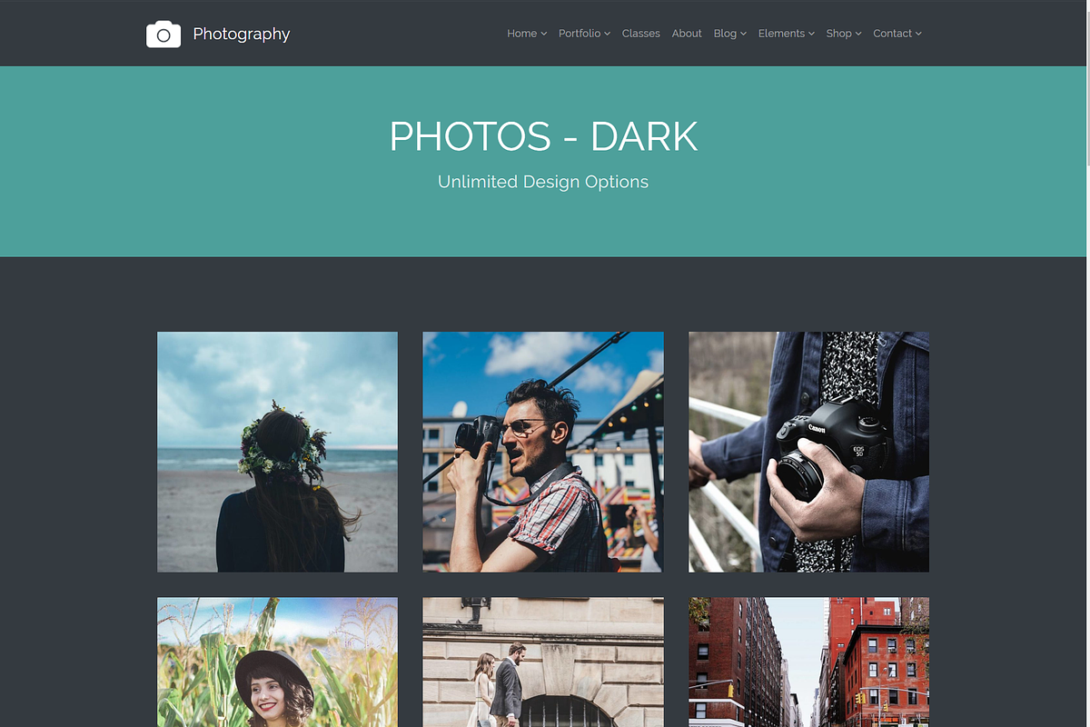 Photography Gallery WordPress Theme, a WordPress Template by Visualmodo (Photo 17 of 21)