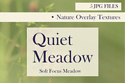 Quiet Meadow — Soft Focus Meadow, a Background Graphic by Aga Silva (Thumbnail 3 of 5)