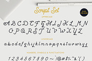 Landon Script, a Script Font by dreamwaves (Thumbnail 4 of 10)