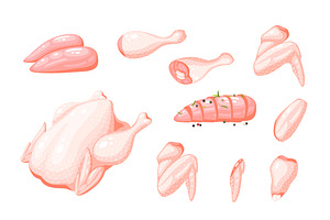 Poultry Vector Set