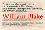 Ethica - Serif font family, a Serif Font by Artistic & Unique (Thumbnail 5 of 15)