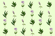 Botany and tenderness. Flowers set, an Object Illustration by Schumacher Shop (Thumbnail 6 of 8)